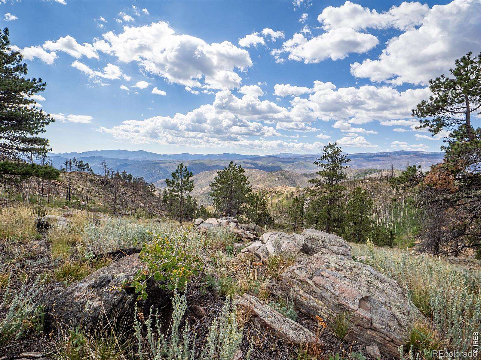 75 Acres of Recreational Land for Sale in Red Feather Lakes, Colorado