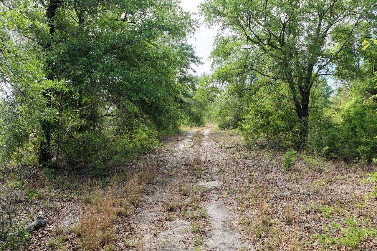 12 Acres of Recreational & Residential Land for Sale in Pinetta, Florida