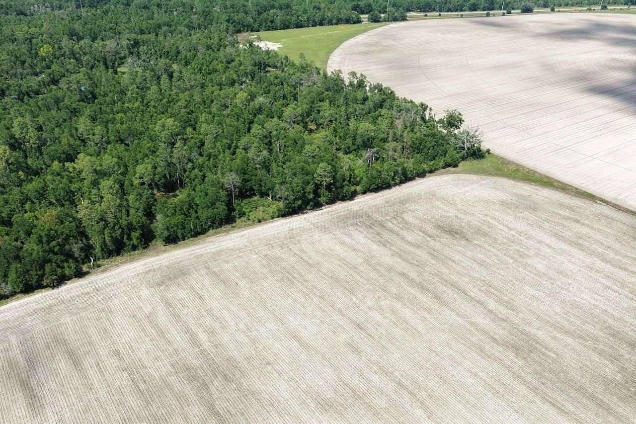 20 Acres of Land for Sale in Lee, Florida