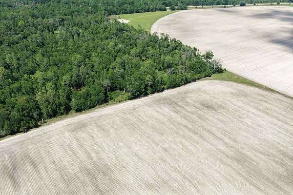 20 Acres of Land for Sale in Lee, Florida