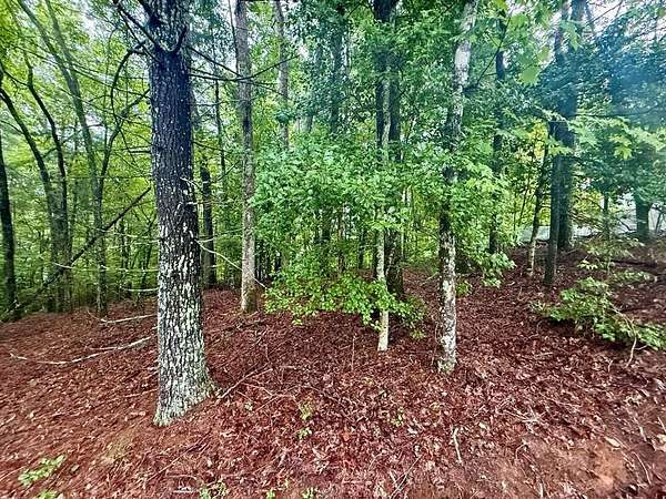 1 Acre of Residential Land for Sale in Hayesville, North Carolina