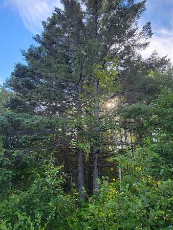 1.65 Acres of Land for Sale in Duluth, Minnesota