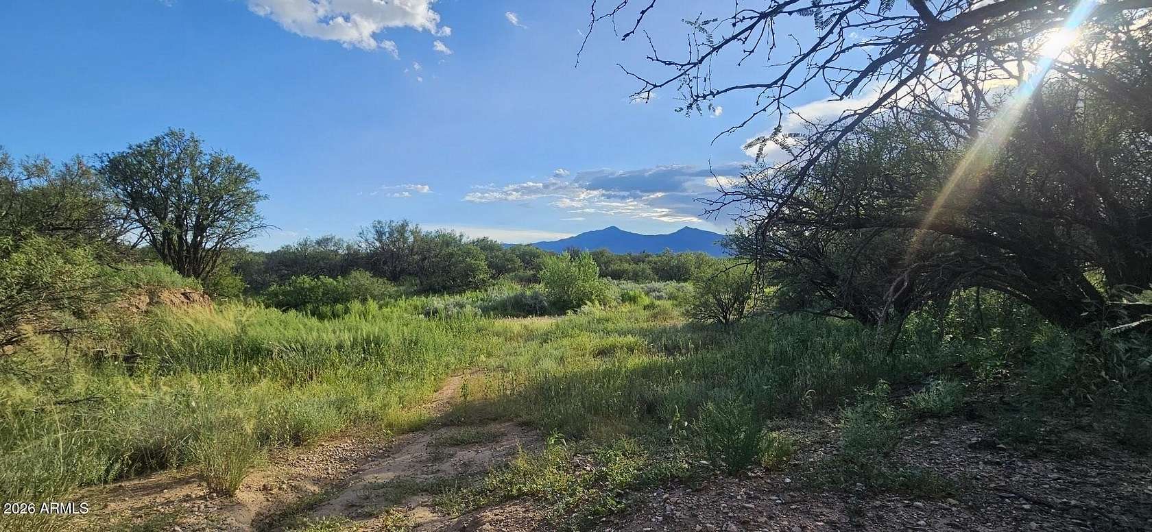 20 Acres of Recreational & Residential Land for Sale in Sierra Vista, Arizona