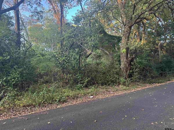 0.26 Acres of Residential Land for Sale in Marshall, Texas