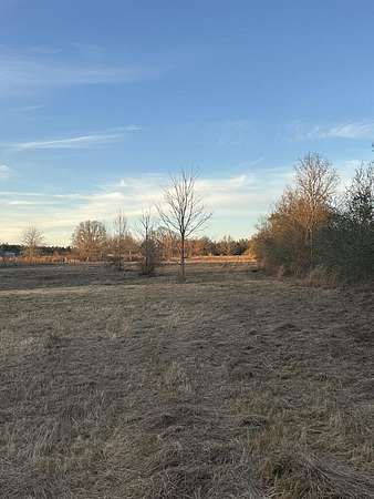 5 Acres of Land for Sale in Poplarville, Mississippi