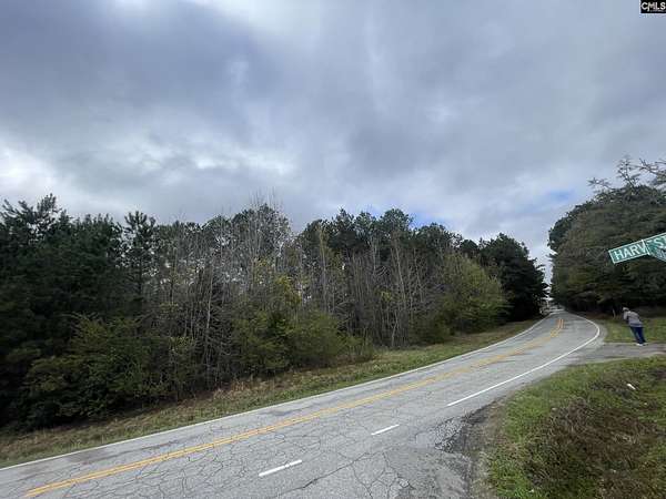 6 Acres of Residential Land for Sale in Chapin, South Carolina