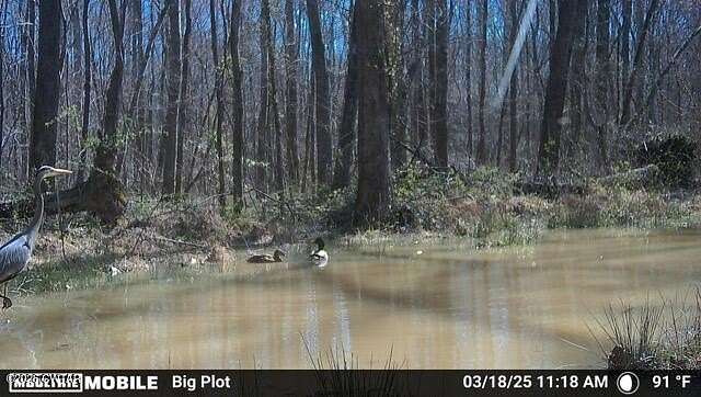 154 Acres of Land for Sale in Jackson, Tennessee