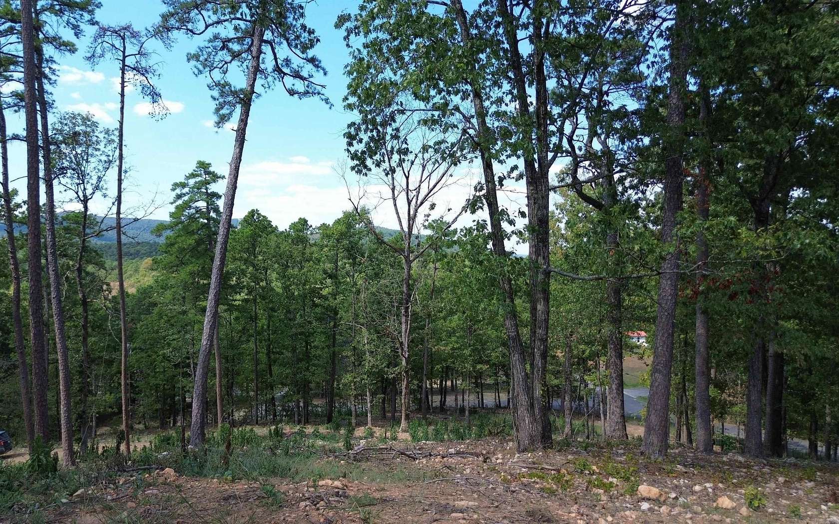 8.59 Acres of Residential Land for Sale in Mena, Arkansas