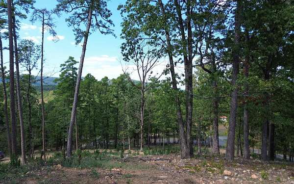 8.59 Acres of Residential Land for Sale in Mena, Arkansas
