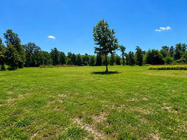 20 Acres of Land for Sale in Shreveport, Louisiana
