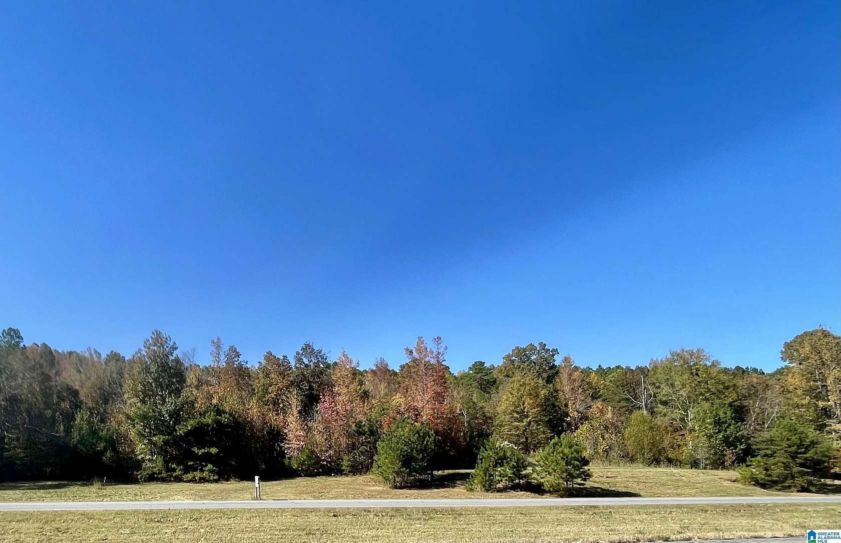 11.3 Acres of Land for Sale in Oneonta, Alabama