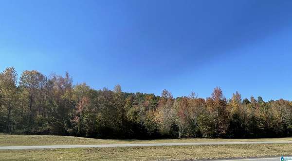 11.3 Acres of Land for Sale in Oneonta, Alabama