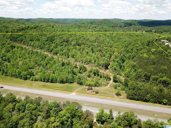 10 Acres of Land for Sale in Oneonta, Alabama