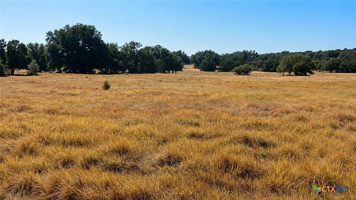 49.6 Acres of Recreational & Residential Land for Sale in Lometa, Texas