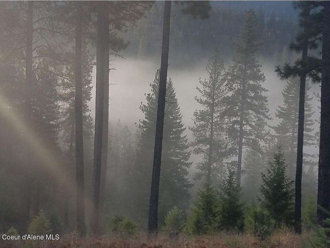 60.3 Acres of Land for Sale in Oldtown, Idaho