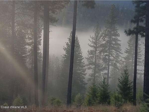 60.3 Acres of Land for Sale in Oldtown, Idaho