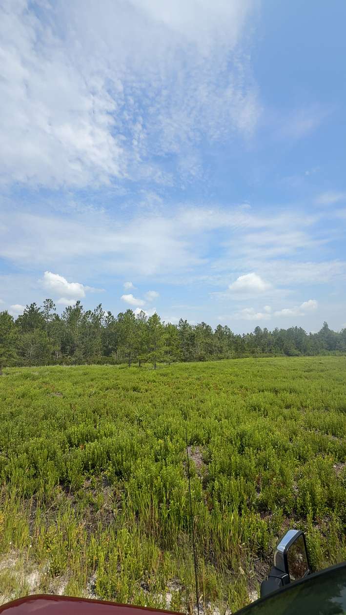 42.7 Acres of Recreational & Residential Land for Sale in Millwood, Georgia