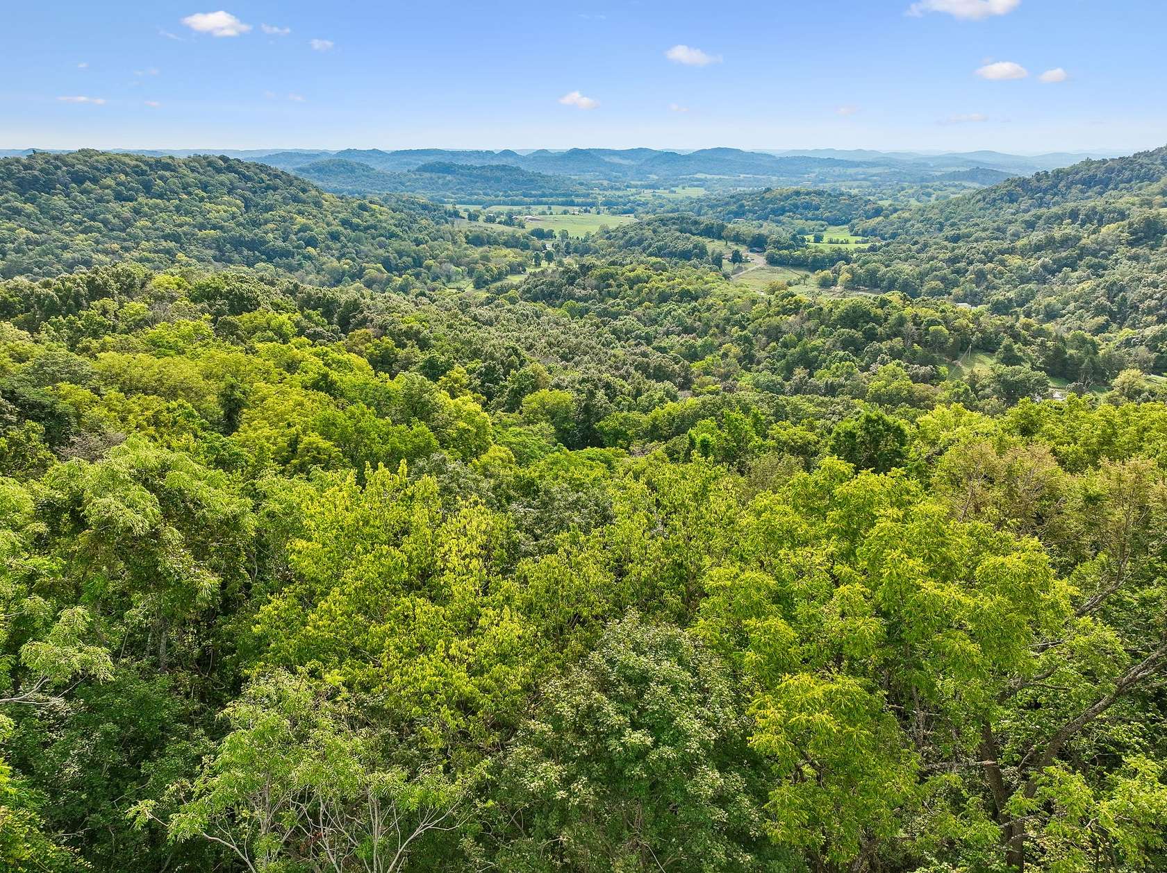 74.5 Acres of Land for Sale in Bethpage, Tennessee