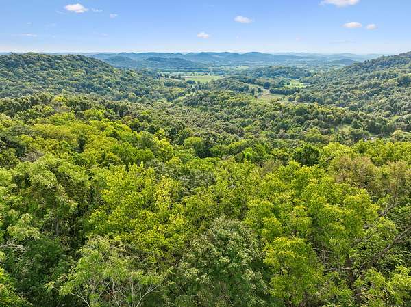 74.5 Acres of Land for Sale in Bethpage, Tennessee