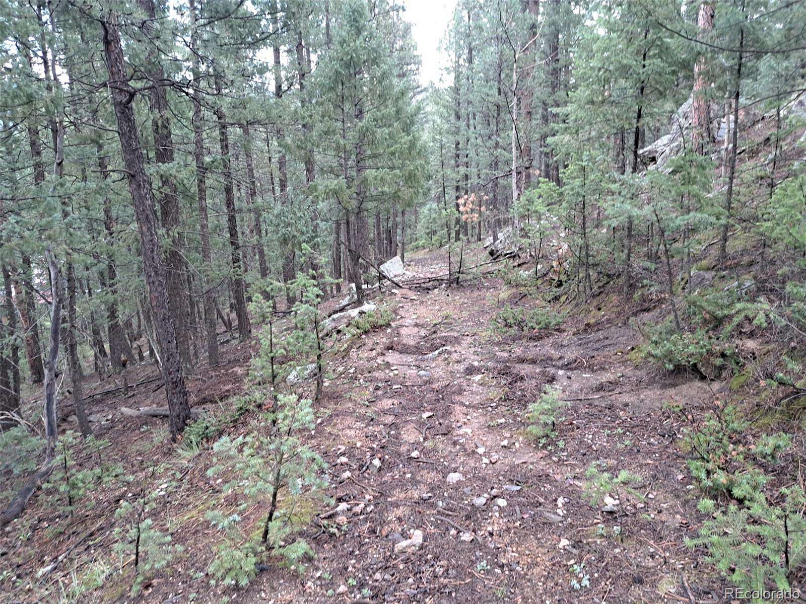 1.56 Acres of Residential Land for Sale in Bailey, Colorado