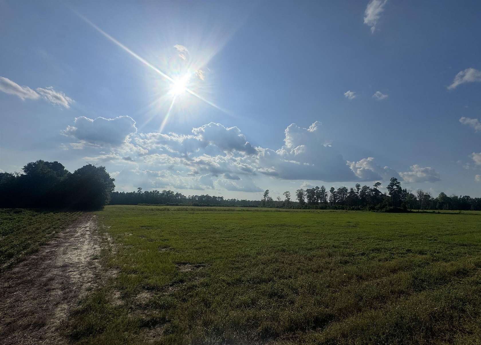 67.9 Acres of Land for Sale in Nichols, South Carolina