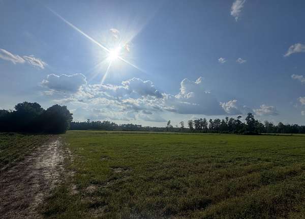 67.9 Acres of Land for Sale in Nichols, South Carolina