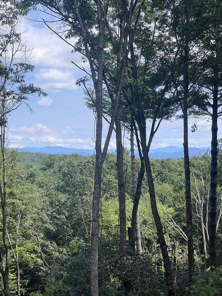 3.12 Acres of Land with Home for Sale in Mineral Bluff, Georgia