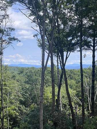 3.12 Acres of Land with Home for Sale in Mineral Bluff, Georgia