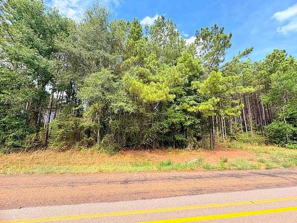 12 Acres of Recreational & Residential Land for Sale in San Augustine, Texas