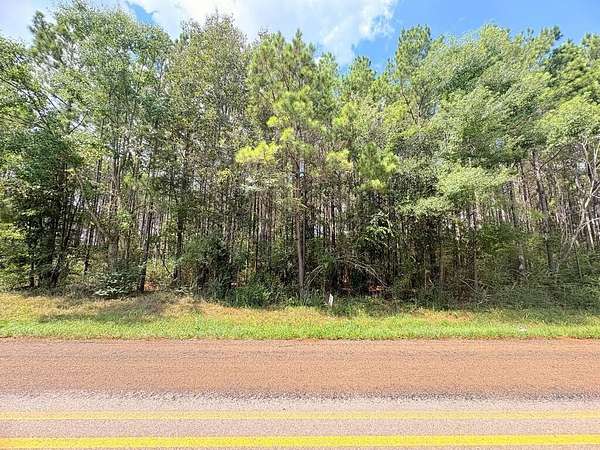 12 Acres of Recreational & Residential Land for Sale in San Augustine, Texas