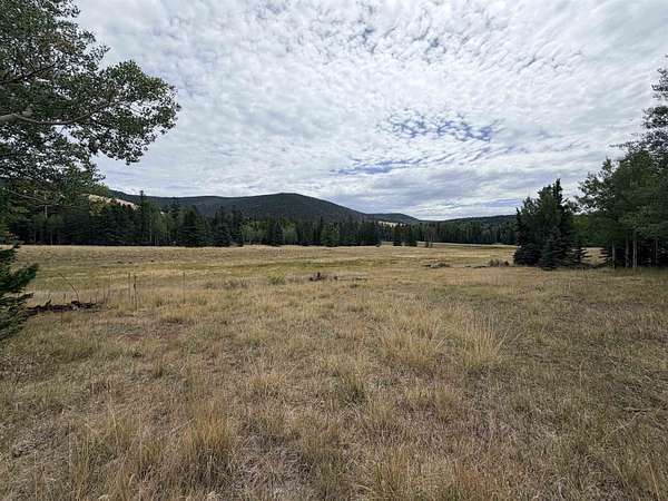 2.8 Acres of Residential Land for Sale in Angel Fire, New Mexico