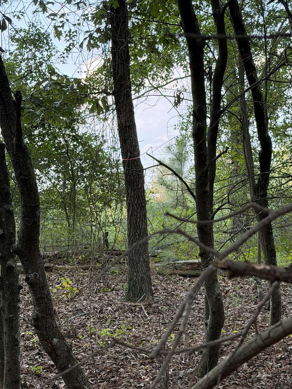 2.5 Acres of Residential Land for Sale in Salley, South Carolina