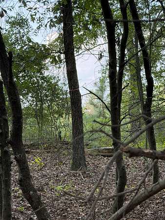 2.5 Acres of Residential Land for Sale in Salley, South Carolina