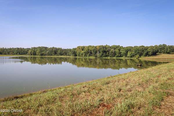 180 Acres of Land for Sale in Denmark, Tennessee