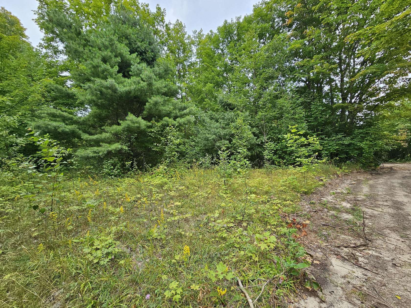 9.32 Acres of Land for Sale in Gould City, Michigan