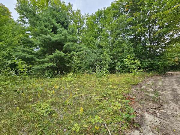 9.32 Acres of Land for Sale in Gould City, Michigan