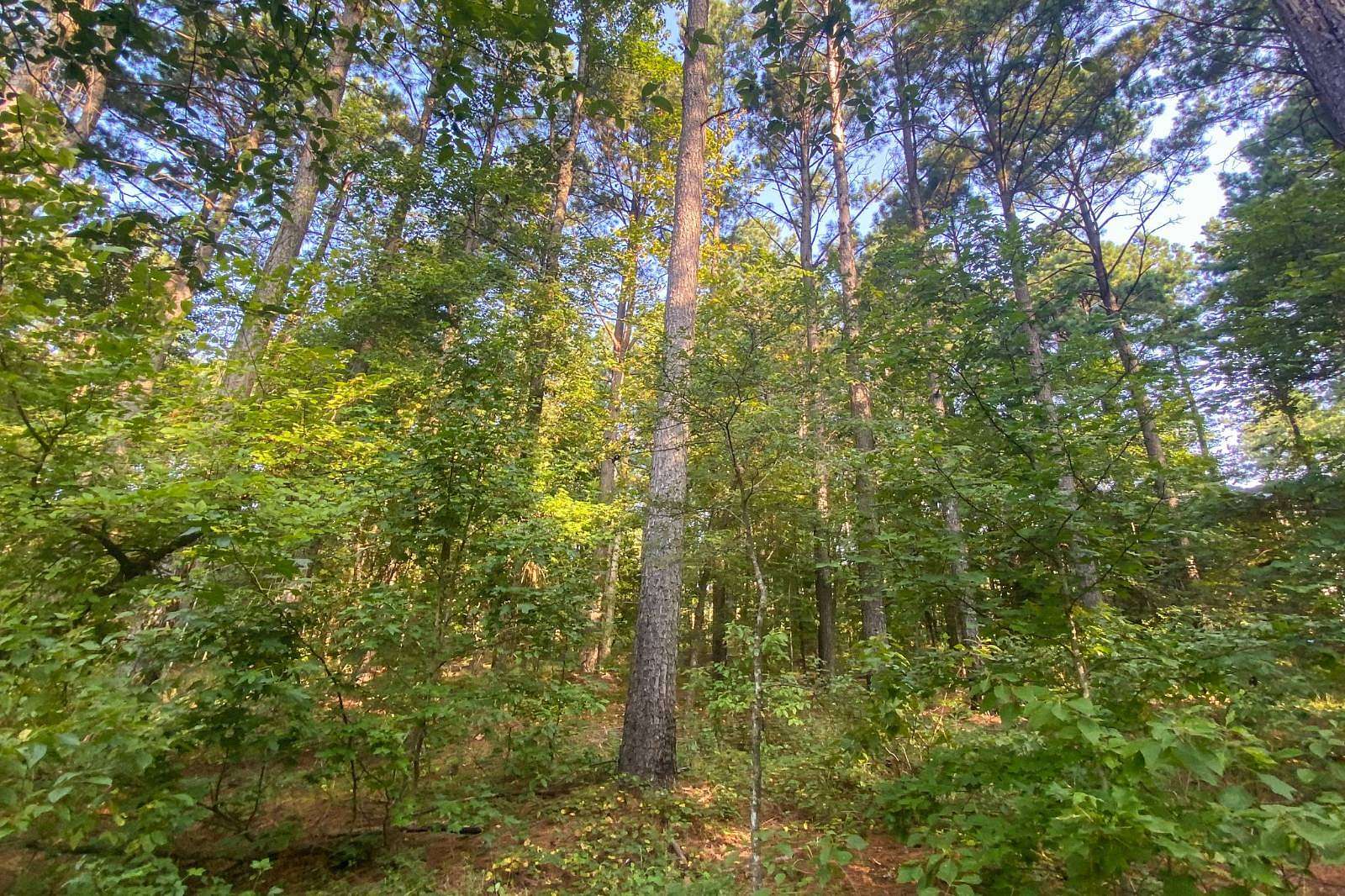 1.3 Acres of Land for Sale in Hochatown, Oklahoma