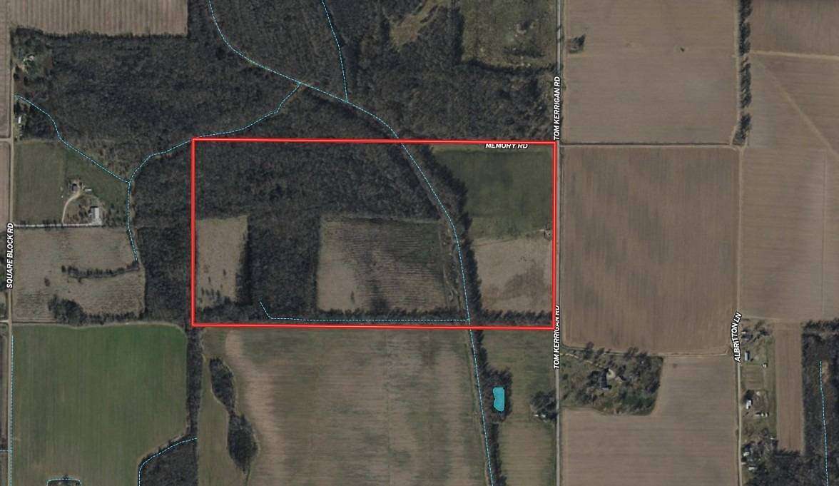80 Acres of Land for Sale in Wisner, Louisiana
