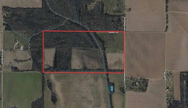 80 Acres of Land for Sale in Wisner, Louisiana