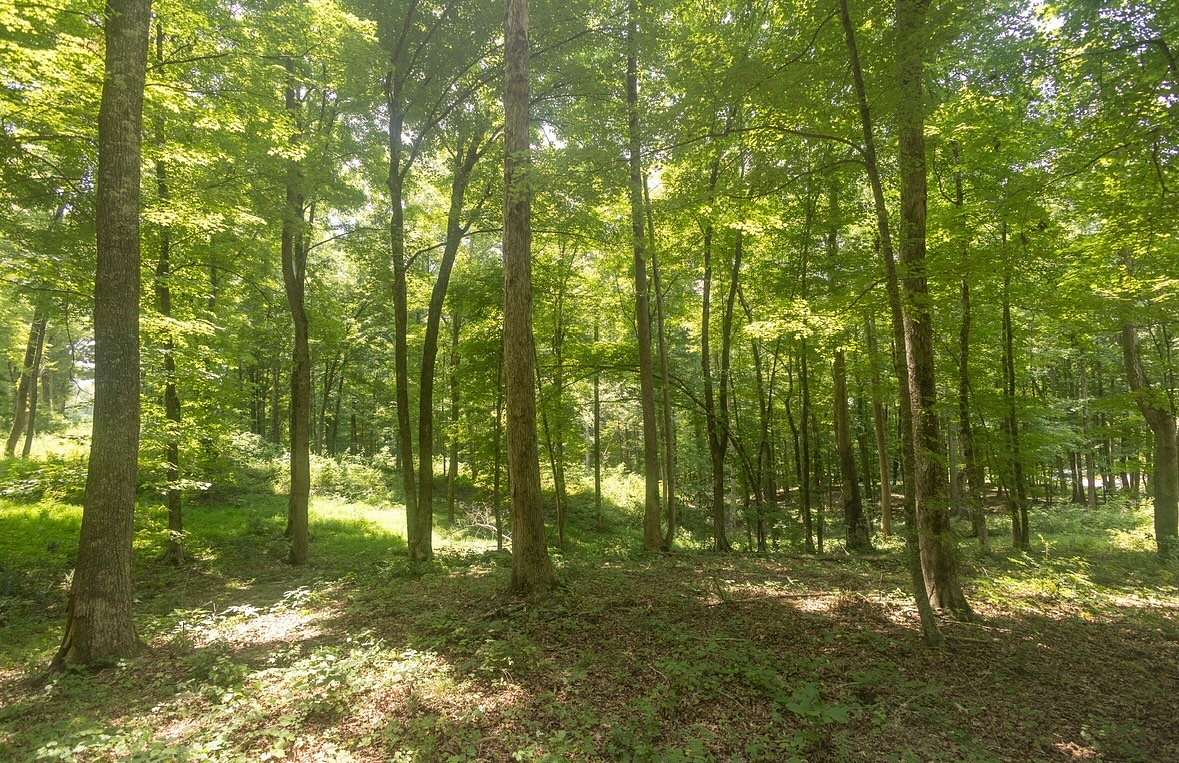 5.3 Acres of Residential Land for Sale in Calhoun, Tennessee