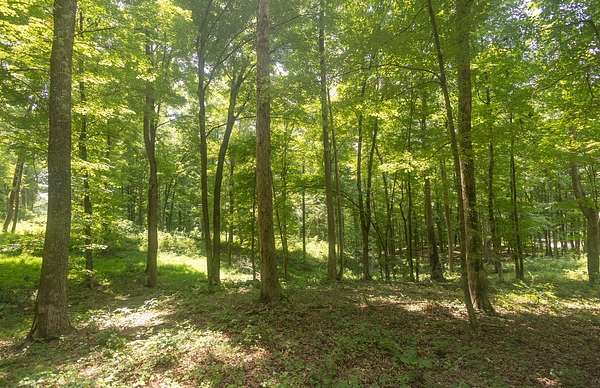 5.3 Acres of Residential Land for Sale in Calhoun, Tennessee