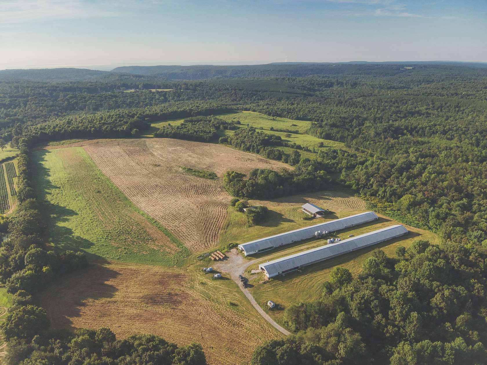 200 Acres of Land for Sale in Pikeville, Tennessee