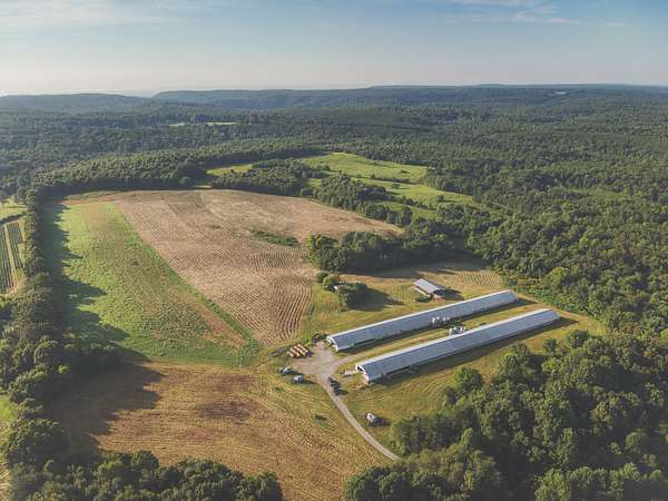 200 Acres of Land for Sale in Pikeville, Tennessee
