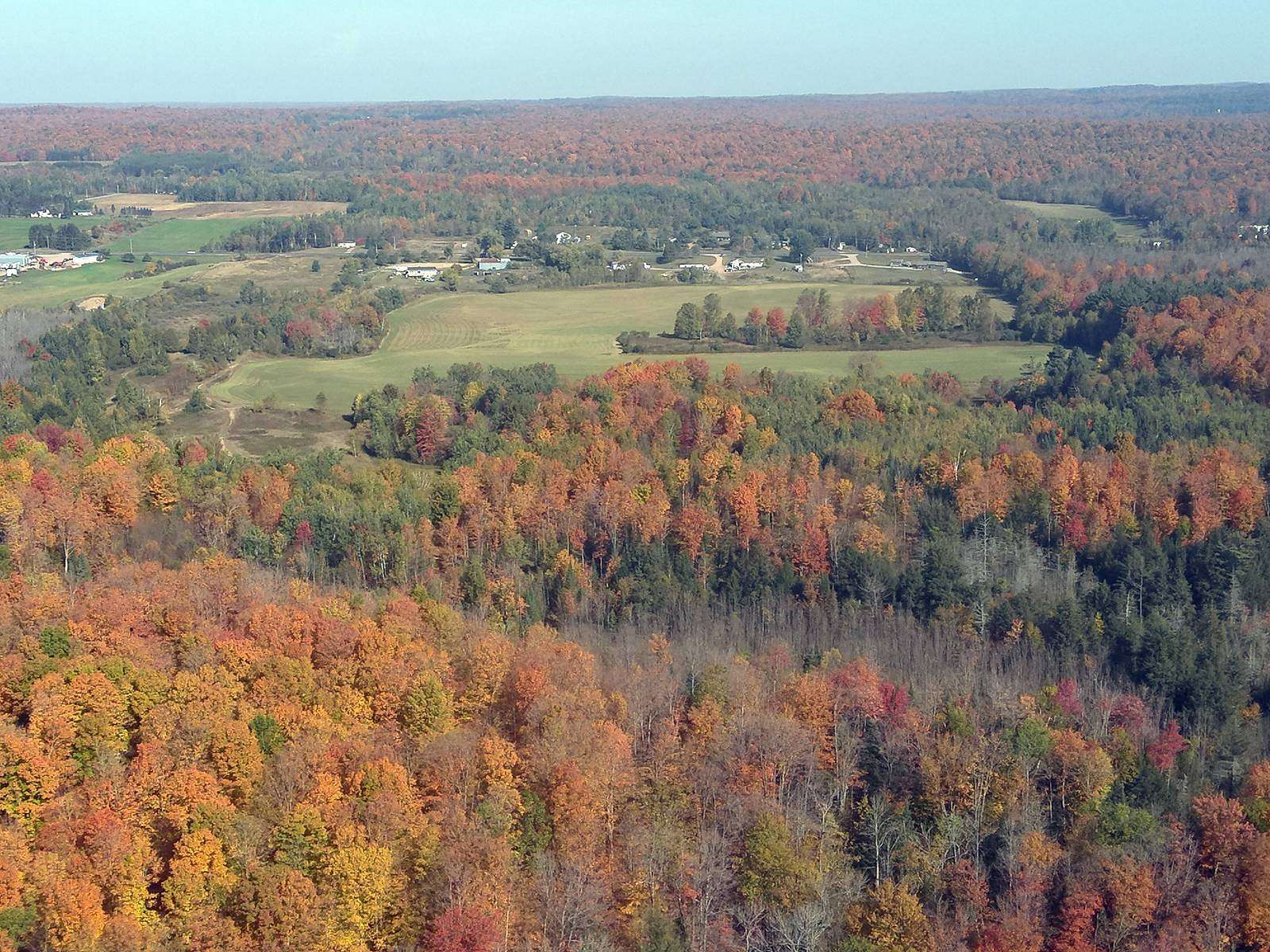 85 Acres of Land for Sale in Bryant, Wisconsin