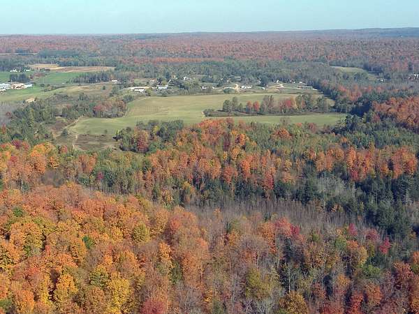 85 Acres of Land for Sale in Bryant, Wisconsin