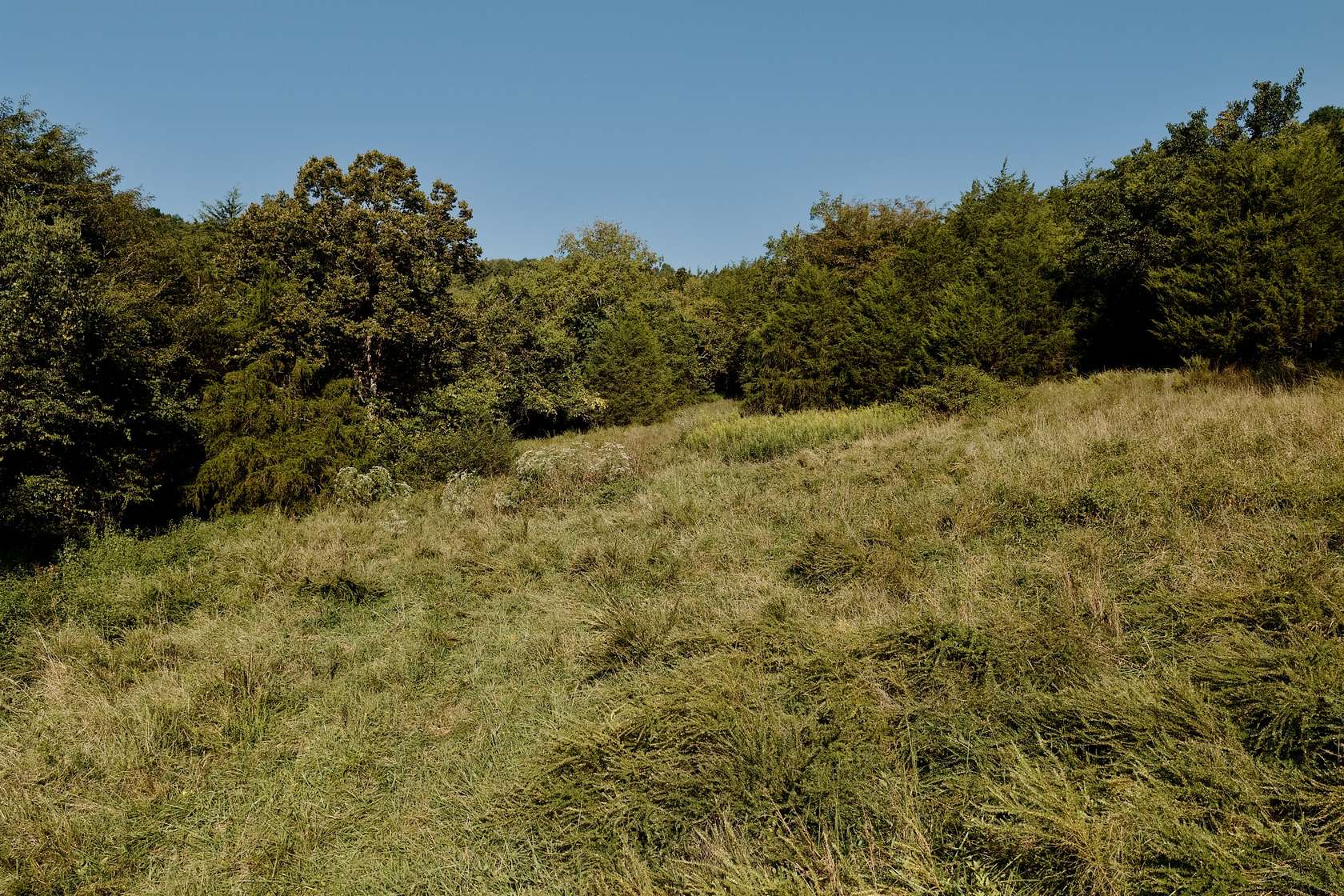 51.8 Acres of Recreational Land for Sale in Petersburg, Tennessee