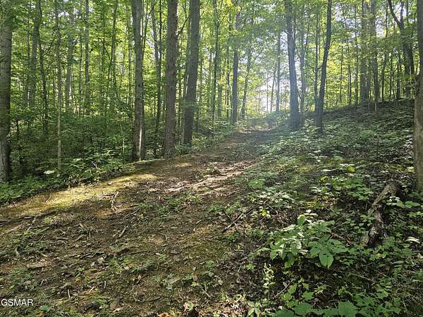 3.3 Acres of Residential Land for Sale in Sevierville, Tennessee