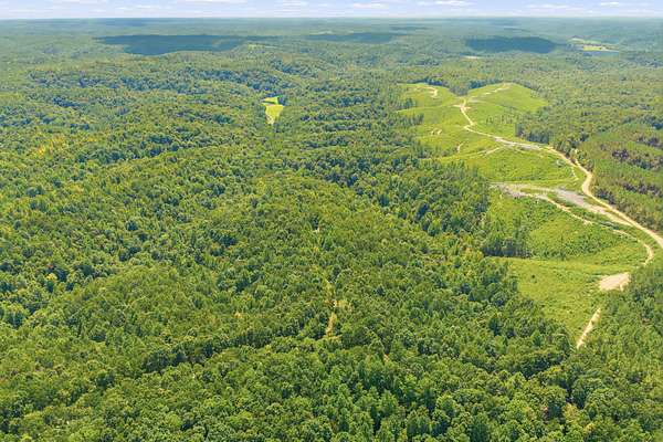 70.5 Acres of Land for Sale in Waynesboro, Tennessee