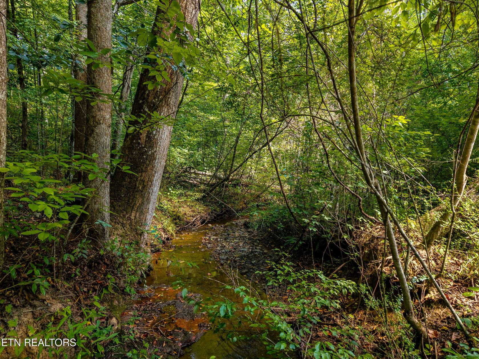 0.87 Acres of Residential Land for Sale in Townsend, Tennessee