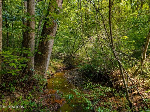 0.87 Acres of Residential Land for Sale in Townsend, Tennessee